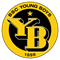BSC Young Boys crest