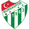 Bursaspor crest